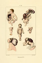 Freak, 1833-39
